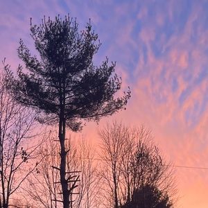 Meet your Posher, Konlan